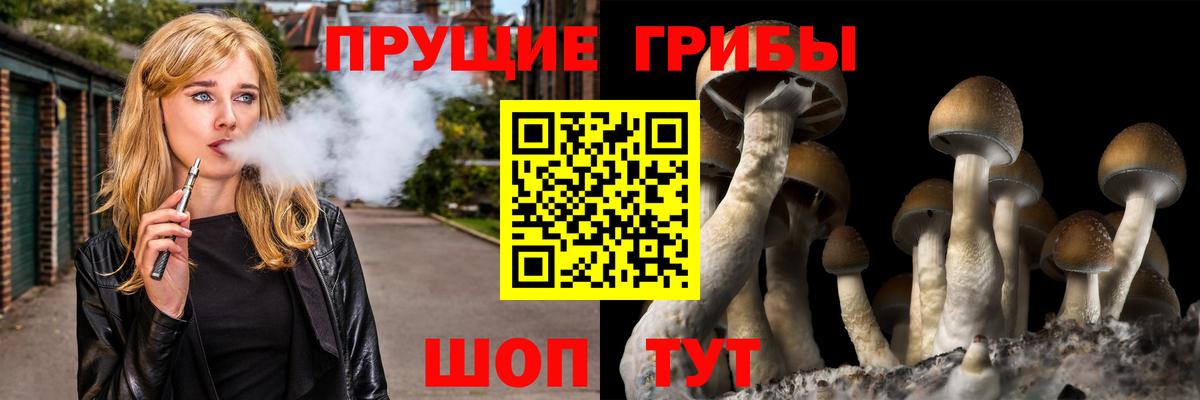 Холмск  Галлюциногенные грибы MAGIC MUSHROOMS  Вход с VPN 